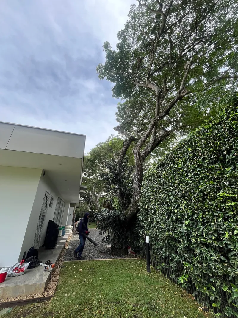 Operario con sopladora limpiando el andén de una casa después de la poda