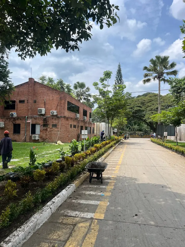 Vía interna de un predio con una jardinera recién sembrada corriendo a lo largo del andén